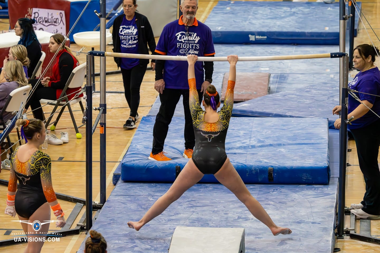 2024 West Virginia State Gymnastics Meet