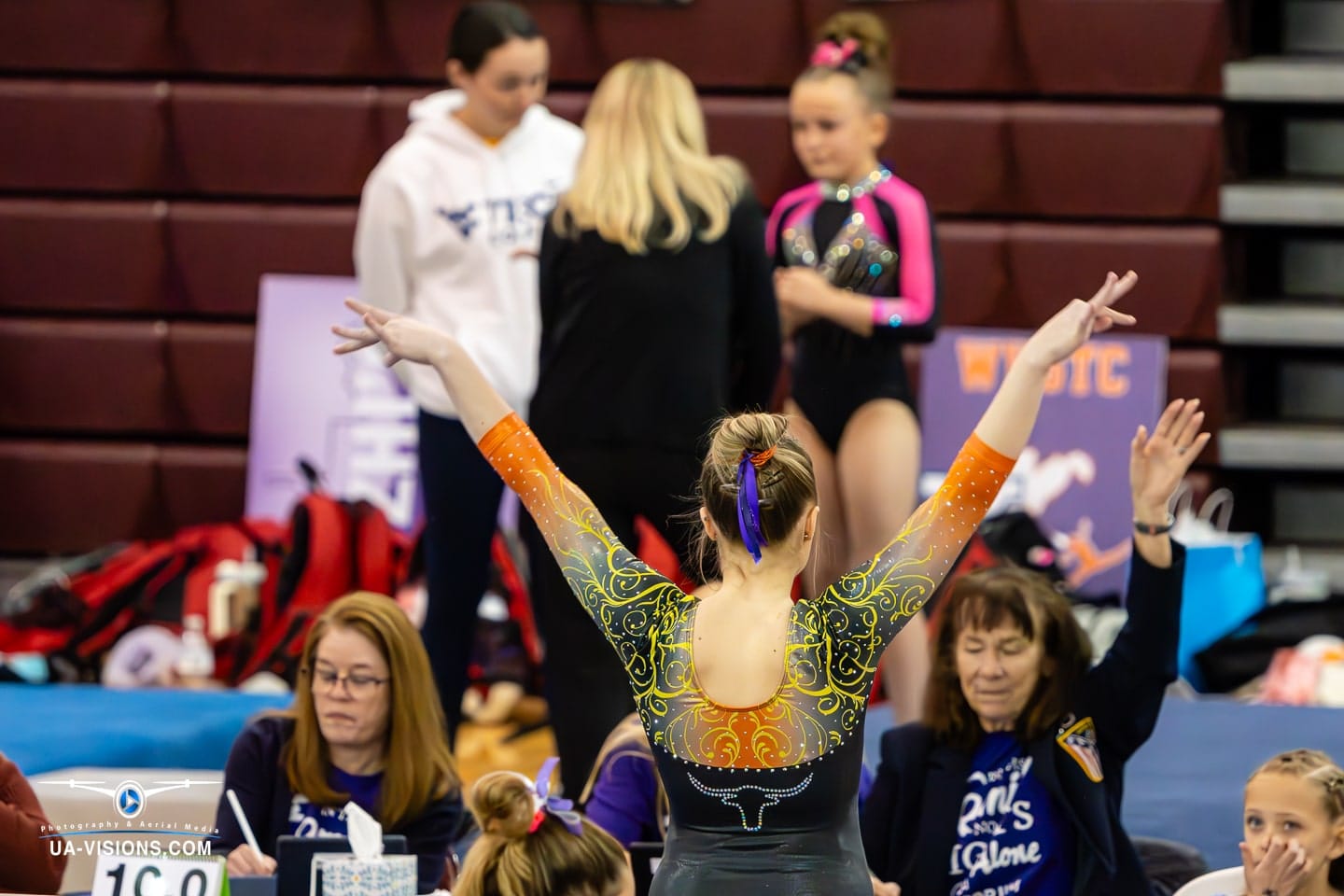 2024 West Virginia State Gymnastics Meet