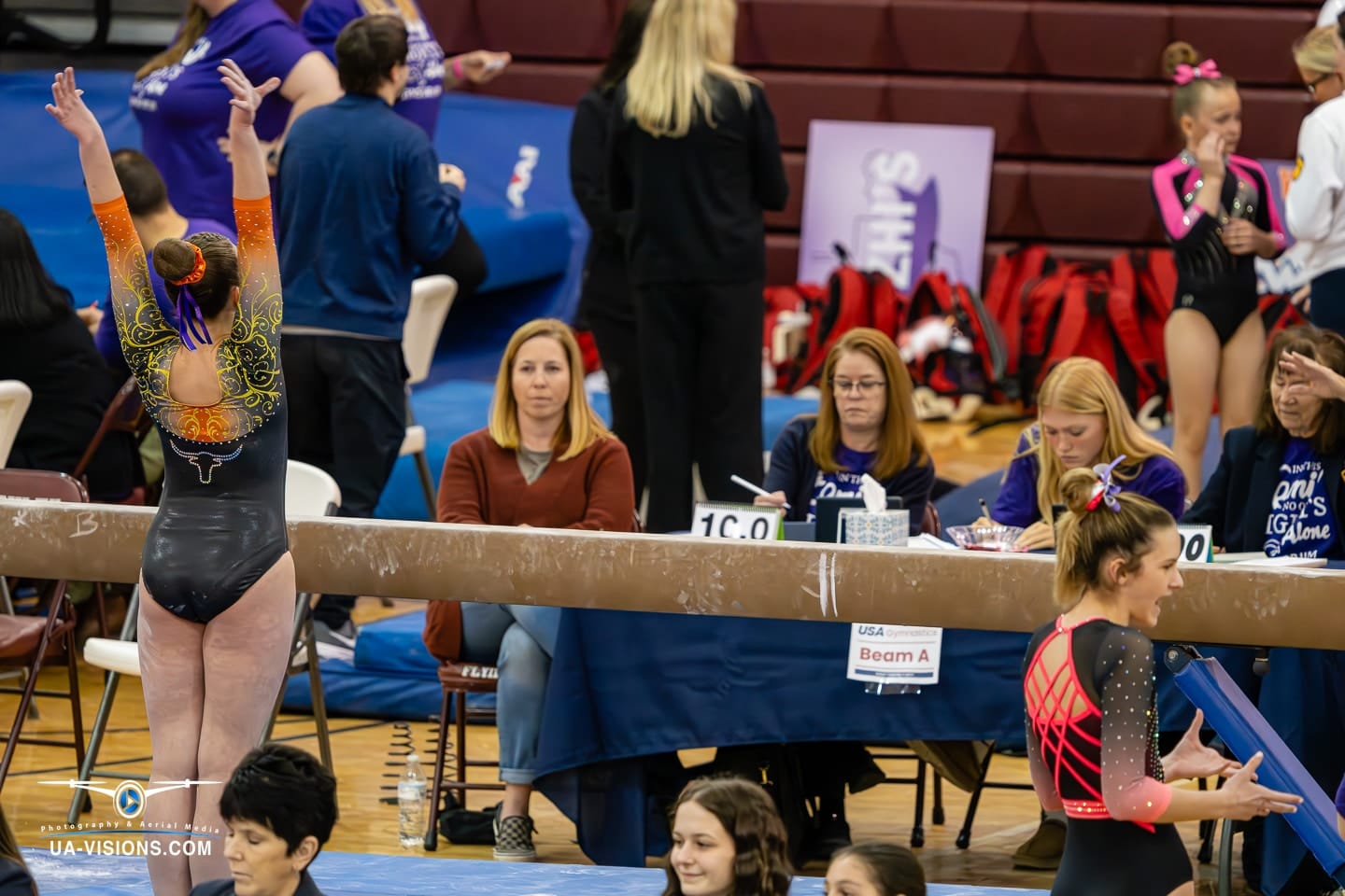 2024 West Virginia State Gymnastics Meet