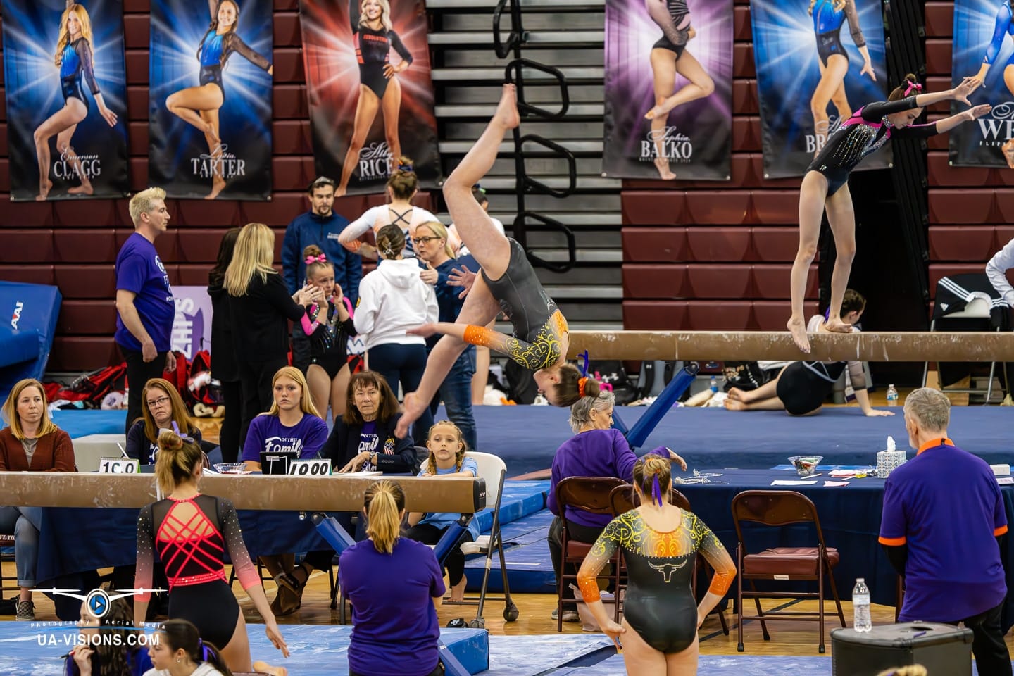 2024 West Virginia State Gymnastics Meet