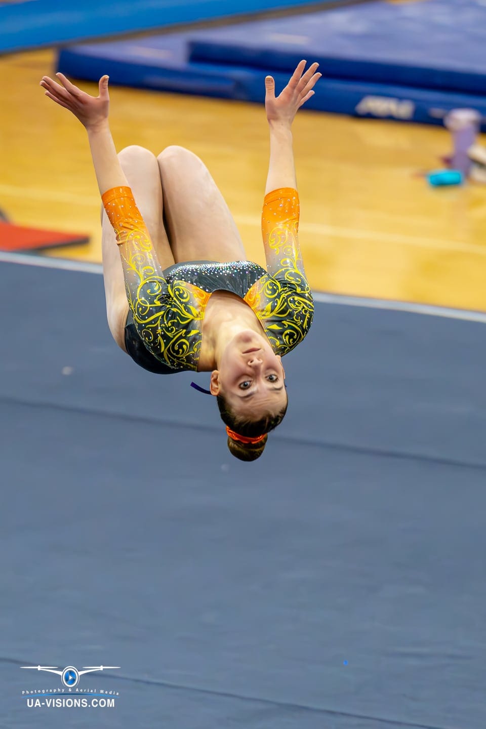 2024 West Virginia State Gymnastics Meet