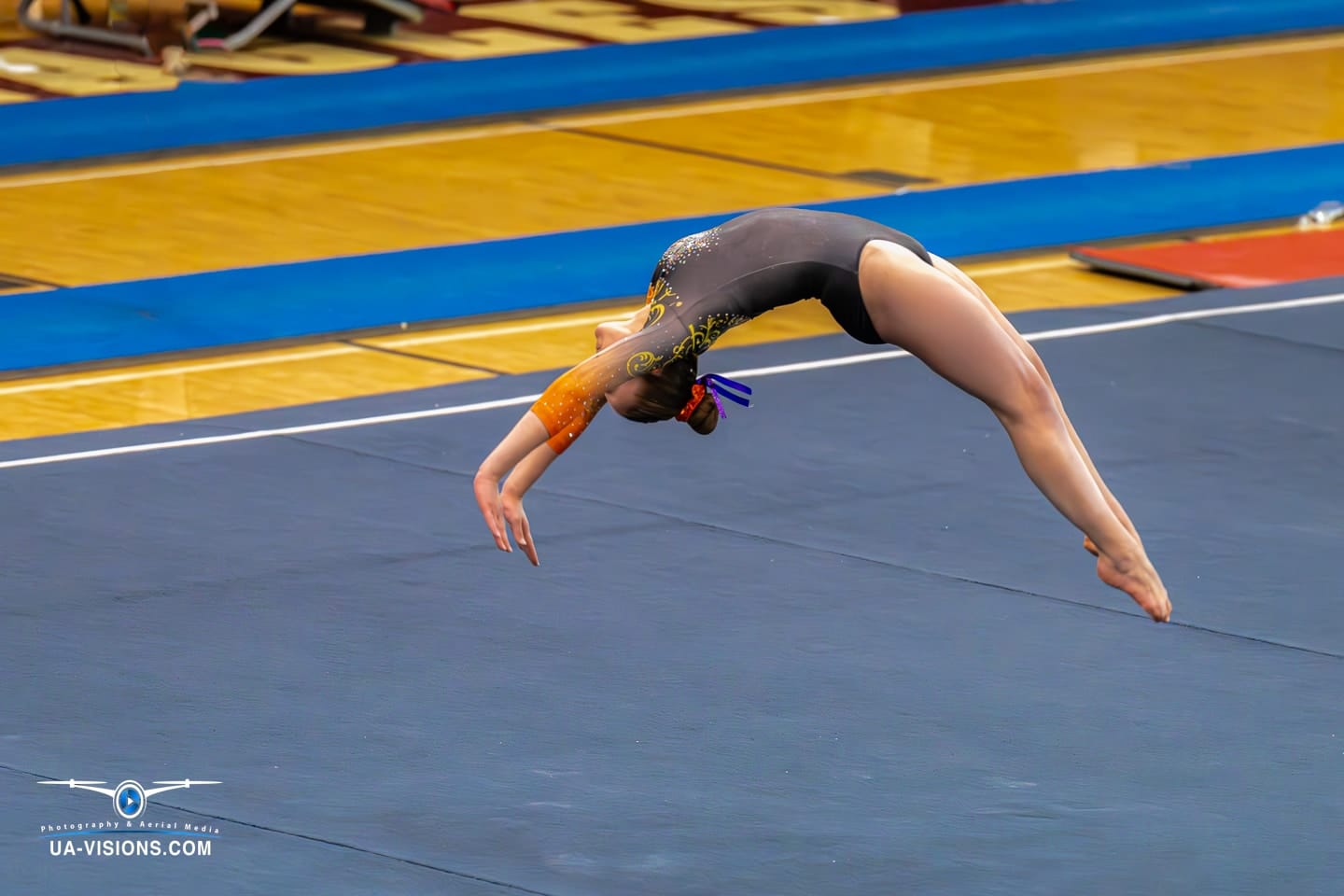 2024 West Virginia State Gymnastics Meet