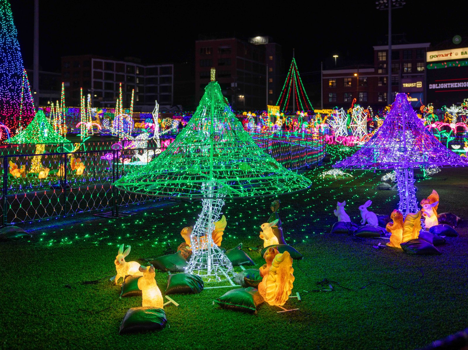 Vivid holiday light decorations of trees and deer at the Charleston Light the Night event.